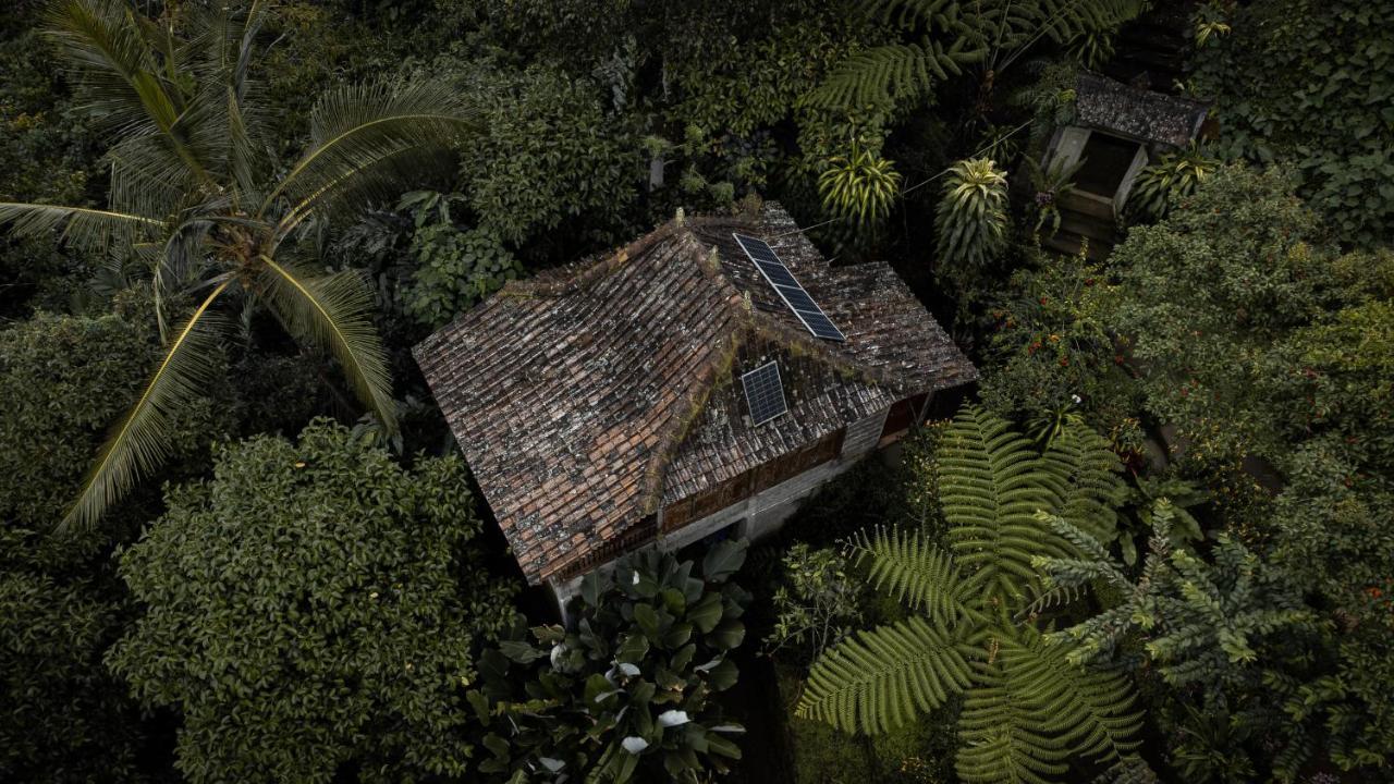 Kebun Kita Eco Lodge Padangan  Zewnętrze zdjęcie