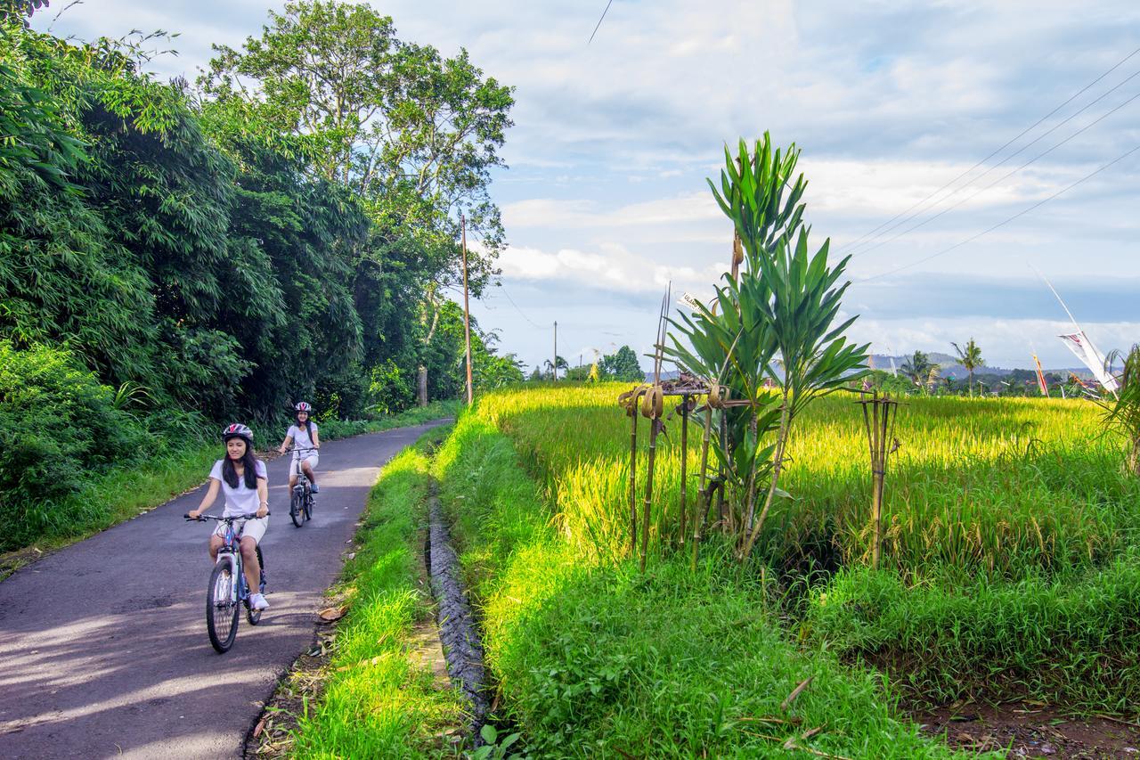 Kebun Kita Eco Lodge Padangan  Zewnętrze zdjęcie