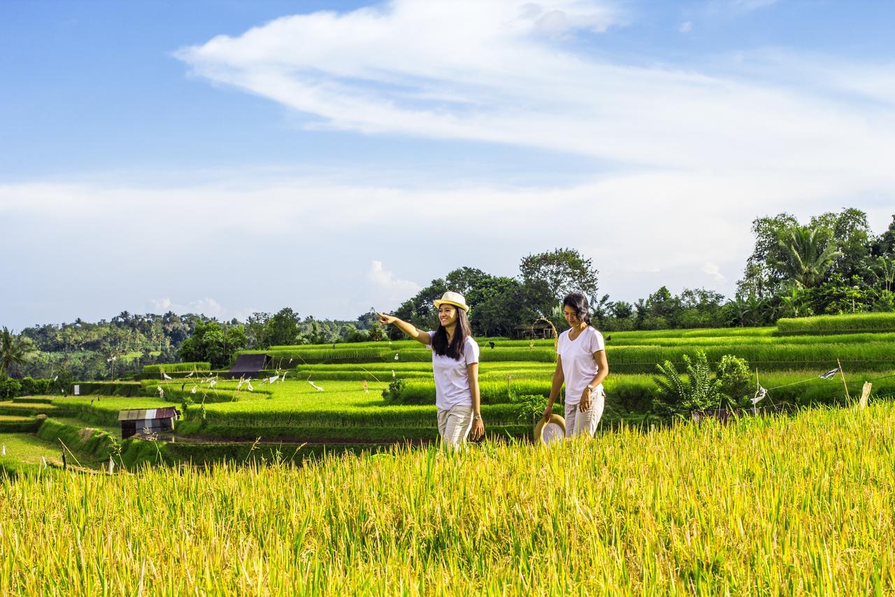 Kebun Kita Eco Lodge Padangan  Zewnętrze zdjęcie